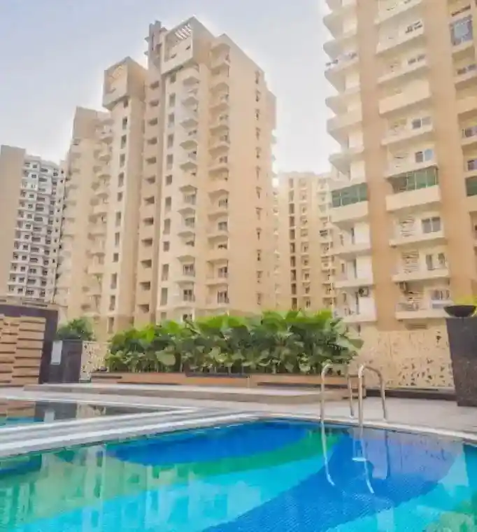 Daffodil, Sec-137 Noida